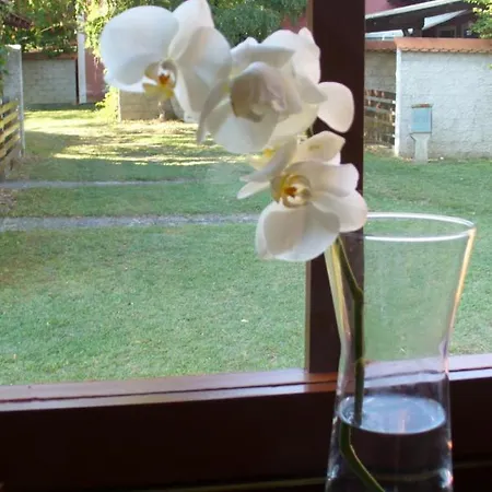 Cebelica, Apartma 101, Terme Catez Brezice