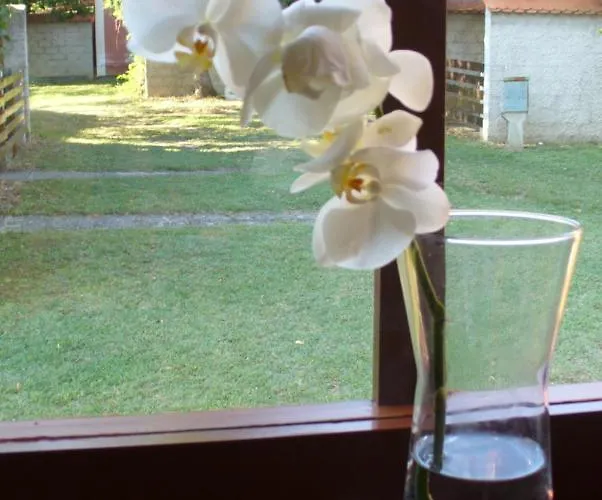 Cebelica, Apartma 101, Terme Catez Brežice